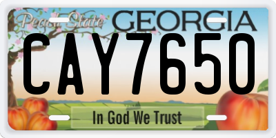 GA license plate CAY7650