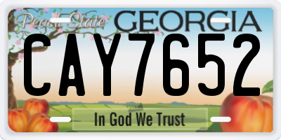 GA license plate CAY7652