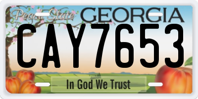 GA license plate CAY7653