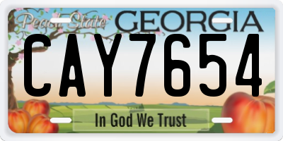 GA license plate CAY7654