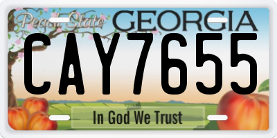 GA license plate CAY7655