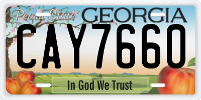 GA license plate CAY7660