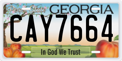 GA license plate CAY7664