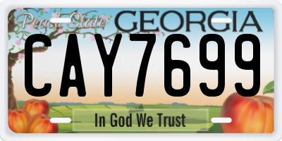 GA license plate CAY7699