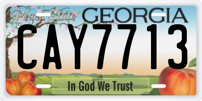 GA license plate CAY7713