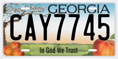 GA license plate CAY7745