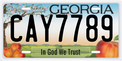 GA license plate CAY7789