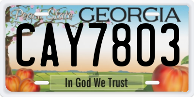 GA license plate CAY7803