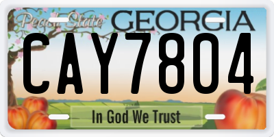 GA license plate CAY7804