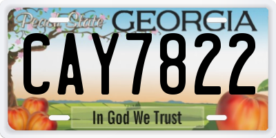 GA license plate CAY7822