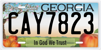 GA license plate CAY7823