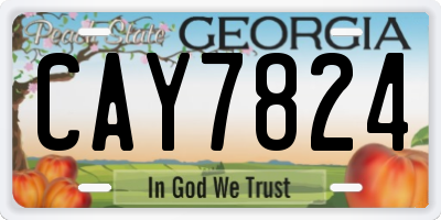 GA license plate CAY7824