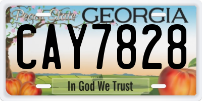 GA license plate CAY7828