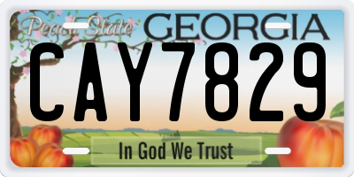 GA license plate CAY7829