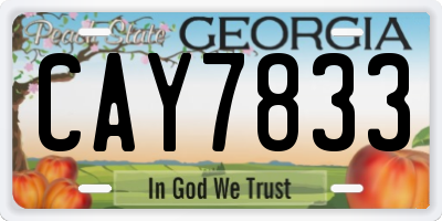 GA license plate CAY7833