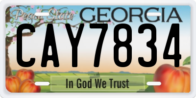 GA license plate CAY7834