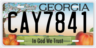 GA license plate CAY7841