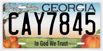 GA license plate CAY7845