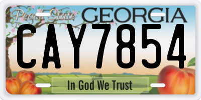 GA license plate CAY7854