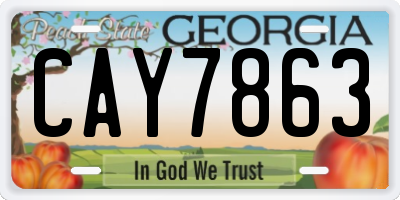 GA license plate CAY7863