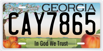 GA license plate CAY7865