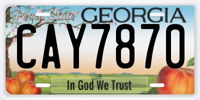 GA license plate CAY7870