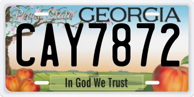 GA license plate CAY7872