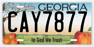 GA license plate CAY7877
