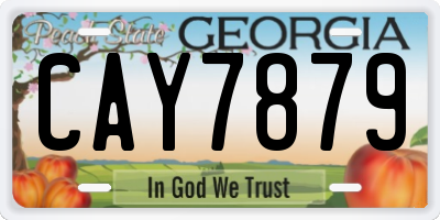 GA license plate CAY7879