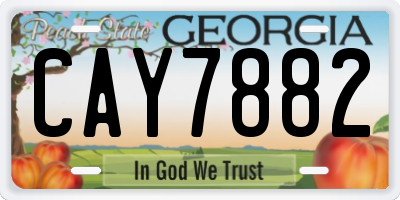 GA license plate CAY7882