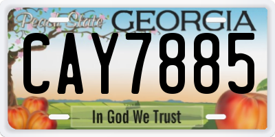 GA license plate CAY7885