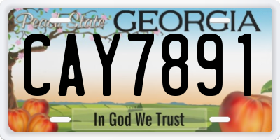 GA license plate CAY7891