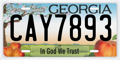 GA license plate CAY7893