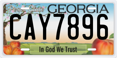 GA license plate CAY7896