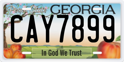 GA license plate CAY7899