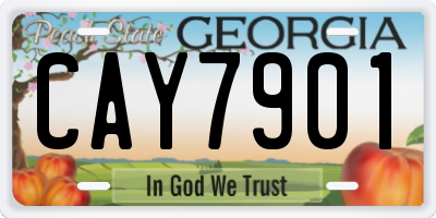 GA license plate CAY7901