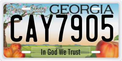 GA license plate CAY7905