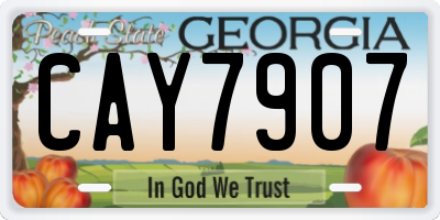 GA license plate CAY7907