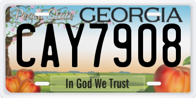 GA license plate CAY7908