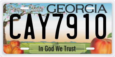 GA license plate CAY7910