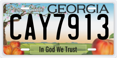 GA license plate CAY7913