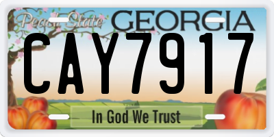 GA license plate CAY7917