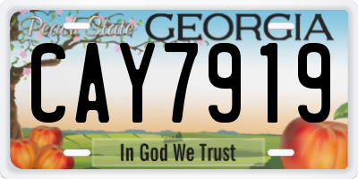 GA license plate CAY7919