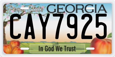 GA license plate CAY7925