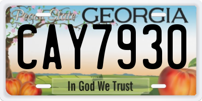 GA license plate CAY7930