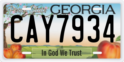 GA license plate CAY7934