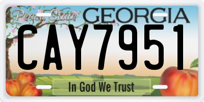 GA license plate CAY7951