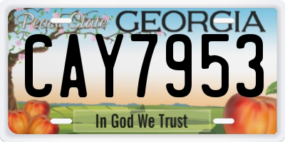 GA license plate CAY7953