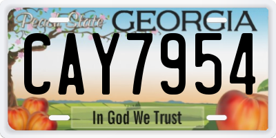 GA license plate CAY7954
