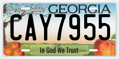GA license plate CAY7955